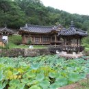 영천 귀애정 이미지