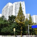 프로방스 이미지