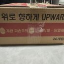 법인청년농업
