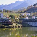 향림오토캠핑장 이미지