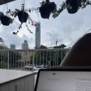 골드코스트 백팩커스 &lt;서프 인 부티크 호스텔 Surf Inn Boutique Hostel&gt; 7박 8일 숙박 후기 !