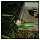 씨밀레동물병원 이미지