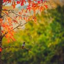 관양본신경외과의원 이미지