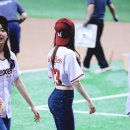 앨리스 핏 이미지