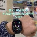 터미널 게임장 | 부산항에서 시노모세키로의 여행 및 하마유우 후기