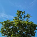 수평목장 이미지