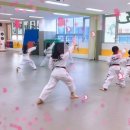 한국체대 참태권도장 이미지