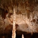 칼즈배드 이미지