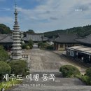 선덕사대적광전 | &lt; 부모님과 함께하는 제주도 여행 동쪽 코스 &gt; 제주도 선덕사, 제주도 주상절리대, 천지연 폭포 후기 1