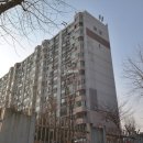 강남-163 이미지