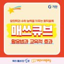 배울로1 이미지