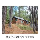 백운산자연휴양림 | <전남 광양 아기랑 여행> 백운산자연휴양림 숲속의집 107호 및 나무상상놀이터 솔직후기