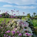 마음연구소민박 이미지