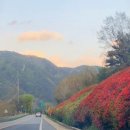 섬진강낚시 이미지