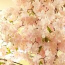 늘봄경희한의원 이미지