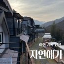 지리산펜션산장 | 하동 지리산 계곡 펜션 자연애가 방문후기