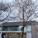 오로라케익하우스 이미지