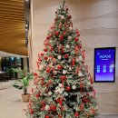 아바니센트럴 부산(더큐브도 같이 소독) | [부산 서면 호텔] 아바니 센트럴 부산 재방문 (주니어스위트룸, 조식 변화)