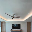 팔레드시즈 이미지