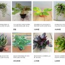 범수농장2 이미지