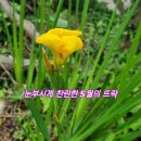 제주곶자왈별장 이미지