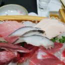 이다바참치