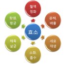 좋은효소 - 해운대구 | 좋은효소