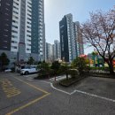 장안흰돌아파트 6차 앞 | 파주점집 태극신당 파주사주 잘보는곳 상담 후기