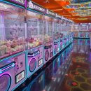 뽑기의 품격 이미지