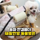 백제동물병원 이미지