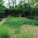 정발산공원 이미지