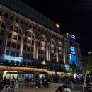 한국애보트 유한회사 | 오사카 '라피트 예약' 이용후기 가격 클룩 이걸로 정보 끝!