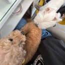 마린보이수산 | September 2025, Search for meaning 📚