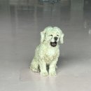 루이야학교가자 이미지