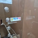 버드리 | 하남 앵무새카페 버드리 후기 먹이체험 주차까지 솔직후기