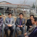 주봉1리 이미지