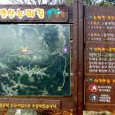 비학산 누리길 이미지