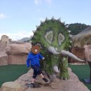 오션포레글램핑 | 고성 공룡세계엑스포&amp;오션포레글램핑 후기