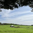 상몽농장2 이미지