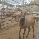 과대포장 이미지