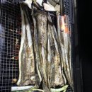 삼천포대교로888 이미지