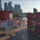 화사랑 아사도 이미지