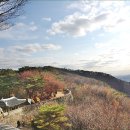 소머거리 이미지