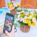 군포의왕교육지원청 | 군포의왕교육지원청 교사연수 힐링프로그램 원예수업 플라워클래스 꽃바구니만들기