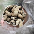 동묘시장 | 서울 나들이 추천! 구제 옷부터 레트로 감성 디카까지~ 동묘벼룩시장 다녀온 후기