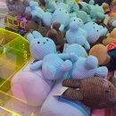 뽑기방 버들강아지 | 노량진역 인형뽑기 토마토이 TOMATOY