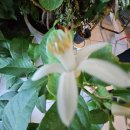 향기로운주유소 이미지