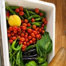 맹동농장 이미지