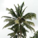 J-골프아카데미 이미지