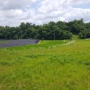 음지리농장 이미지